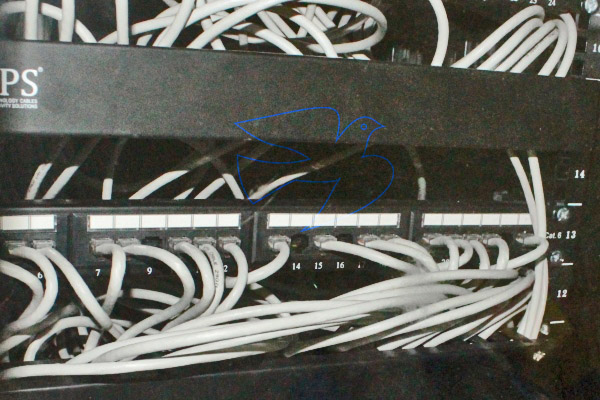 Computer Networks Setup